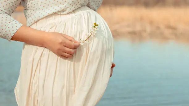 Photo of pregnant girl in a white dress on a background of a river. He hugs his stomach with his hands and holds a flowering branch of a spring tree. Vintage toning, focus on pregnant belly. Pregnancy planning