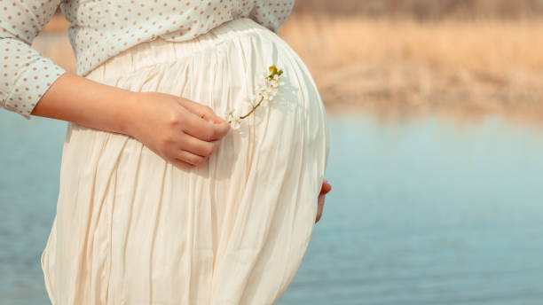 pregnant girl in a white dress on a background of a river. he hugs his stomach with his hands and holds a flowering branch of a spring tree. vintage toning, focus on pregnant belly. pregnancy planning - dress human pregnancy young women women imagens e fotografias de stock