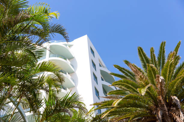 istock Modern white apartment building surrounded with palm trees, background with copy space 1219254406