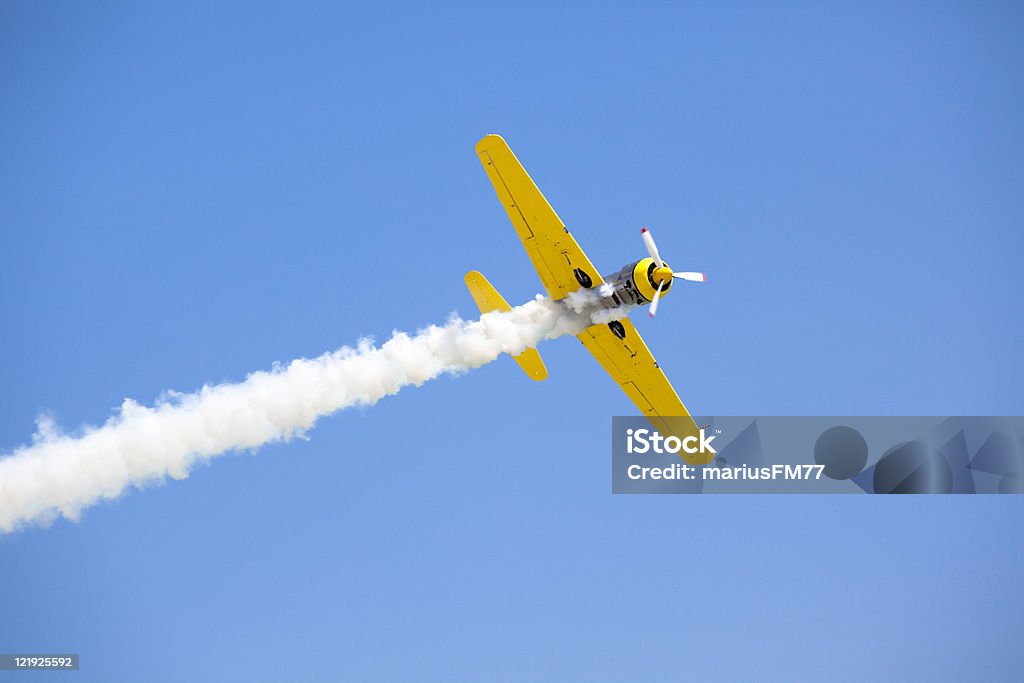 古いプロペラ飛行機 - 航空ショーのロイヤリティフリーストックフォト