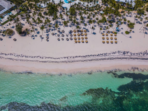 istock Empty beach Punta Cana Dominican Republic 1219256151