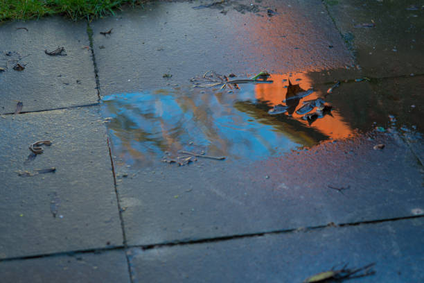 istock Abstract reflections in a winter afternoon puddle after the rains have passed,Andover,Hampshire,United Kingdom. 1219257637