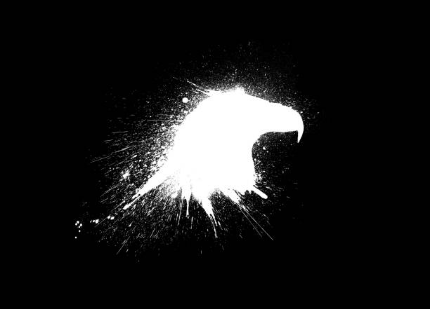 Eagle Head Silhouette with paint splashes, splatters and blots isolated on a black background. Eagle Head Silhouette with paint splashes, splatters and blots isolated on a black background. white crow stock pictures, royalty-free photos & images