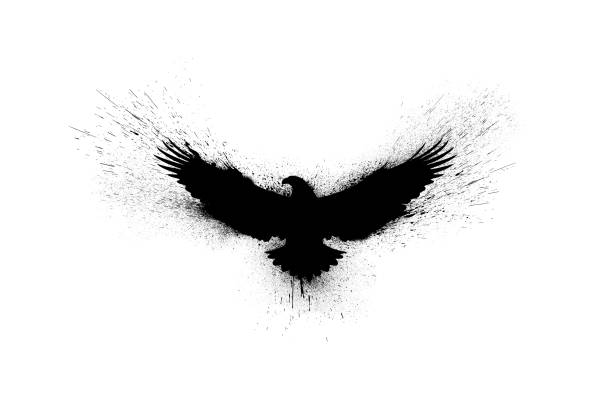 silhouette noire d’un aigle volant avec des ailes écartées avec des éclaboussures de peinture, des éclaboussures et des taches isolées sur un fond blanc. - ailes déployées photos et images de collection