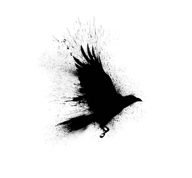 Photo of Black silhouette of a flying raven with spread wings with paint splashes, splatters and blots isolated on a white background.
