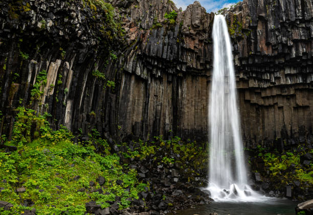 istock Svartifoss waterfall in the Skaftafell National Park (Iceland) 1219260429