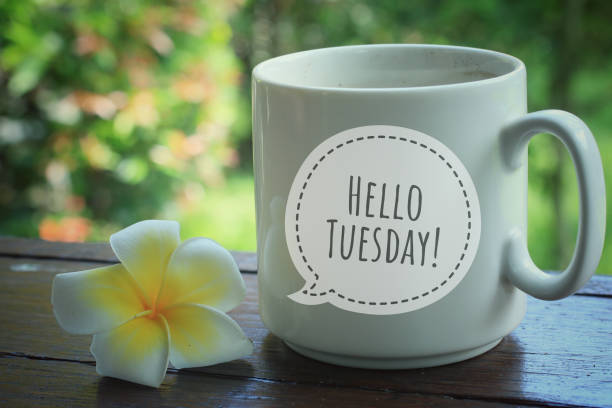 hola martes. concepto de diseño de texto del feliz martes escrito en una taza blanca de té o café de la mañana. - martes fotografías e imágenes de stock
