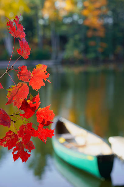 istock Canoe and Dock on a Misty Morning 1219262107