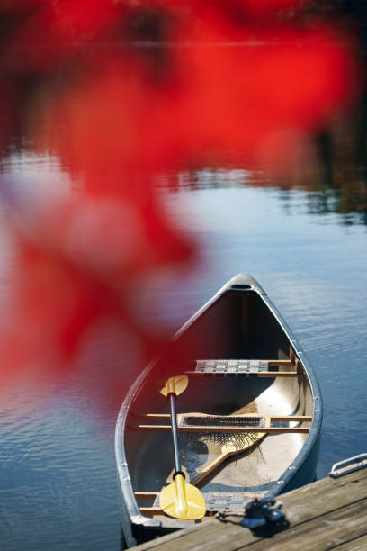 istock Canoe and Dock on a Misty Morning 1219262108