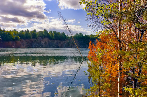 istock Summer landscape by a forest lake with clear blue water. 1219262397