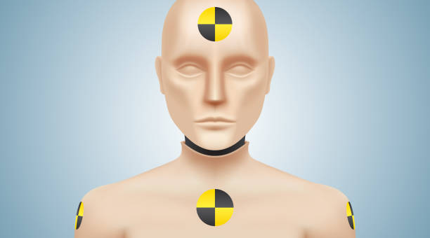 Crash test dummy vector illustration. Crash test dummy vector illustration. Car safety testing manikin, looking at camera, standing on a gray background. crash test dummy stock illustrations