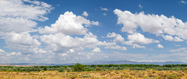 istock Southwestern Landscape with Sandia Mountains 121926304