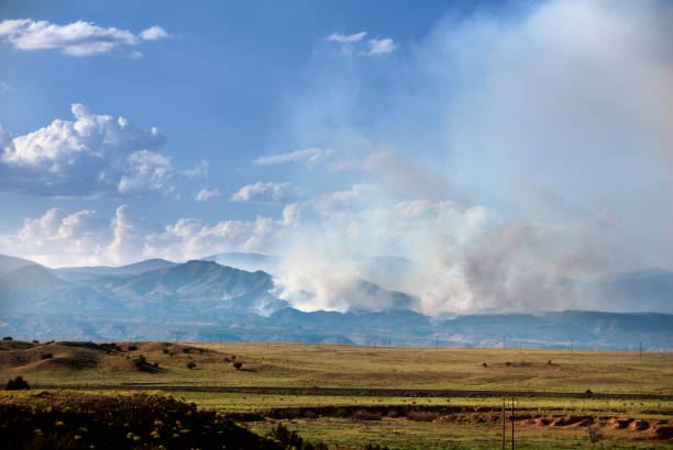 istock Southwestern Landscape with Sandia Mountains 121926392