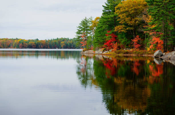 istock Autumn Background With Red Maple Leaves 1219269793