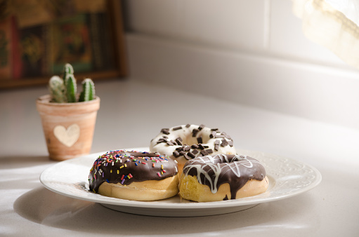 Three chocolate dipped donuts on a white plate with a little flower pot cactus behind.