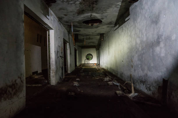 istock Abandoned World War II Underground Bunkers 1219270504