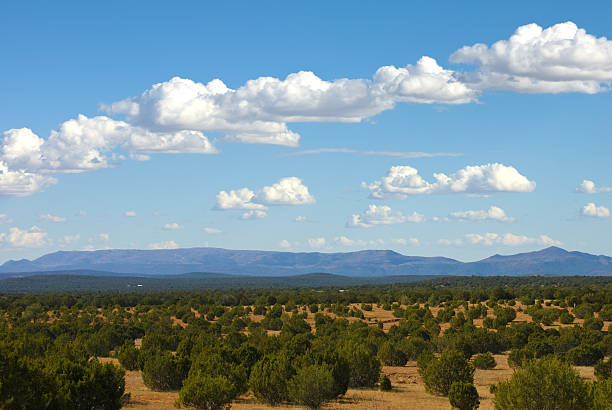 Beautiful panorama of the Texas Hill Country.  [b]MORE LIKE THIS... in lightboxes below![b]\n[url=file_closeup.php?id=8971852][img]file_thumbview_approve.php?size=1&id=8971852[/img][/url] [url=file_closeup.php?id=3486804][img]file_thumbview_approve.php?size=1&id=3486804[/img][/url] [url=file_closeup.php?id=2917460][img]file_thumbview_approve.php?size=1&id=2917460[/img][/url] \n[url=file_closeup.php?id=4602422][img]file_thumbview_approve.php?size=1&id=4602422[/img][/url] [url=file_closeup.php?id=12666800][img]file_thumbview_approve.php?size=1&id=12666800[/img][/url] [url=file_closeup.php?id=8997780][img]file_thumbview_approve.php?size=1&id=8997780[/img][/url]\n[b][url=/file_search.php?action=file&lightboxID=3865146]More NATURE Images[/url][b]\n[url=file_closeup.php?id=8971778][img]file_thumbview_approve.php?size=1&id=8971778[/img][/url] [url=file_closeup.php?id=12483886][img]file_thumbview_approve.php?size=1&id=12483886[/img][/url] [url=file_closeup.php?id=12483798][img]file_thumbview_approve.php?size=1&id=12483798[/img][/url] \n[B][url=/file_search.php?action=file&lightboxID=8068505]More TEXAS Images[/url][B]\n[url=file_closeup.php?id=6550601][img]file_thumbview_approve.php?size=1&id=6550601[/img][/url] [url=file_closeup.php?id=17567887][img]file_thumbview_approve.php?size=1&id=17567887[/img][/url] [url=file_closeup.php?id=16918273][img]file_thumbview_approve.php?size=1&id=16918273[/img][/url]\n[B][url=/file_search.php?action=file&lightboxID=660431]More COWBOY Images[/url][B]\n[url=file_closeup.php?id=25810250][img]file_thumbview_approve.php?size=1&id=25810250[/img][/url] [url=file_closeup.php?id=2439868][img]file_thumbview_approve.php?size=1&id=2439868[/img][/url] [url=file_closeup.php?id=25721813][img]file_thumbview_approve.php?size=1&id=25721813[/img][/url]