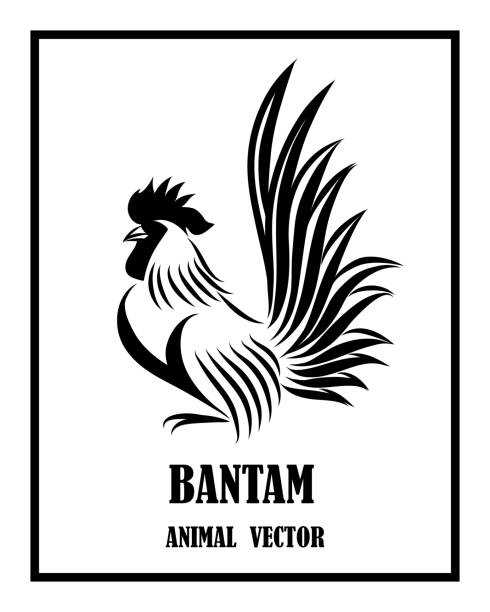 illustrations, cliparts, dessins animés et icônes de logo vector line art illustration d’un bantam. il est debout. il est noir et blanc. - poule naine