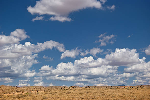 istock New Mexico High Desert 121927216