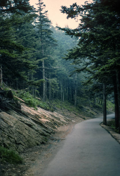Great Smoky Mountains NP - Clingman's Dome Trail - 1976