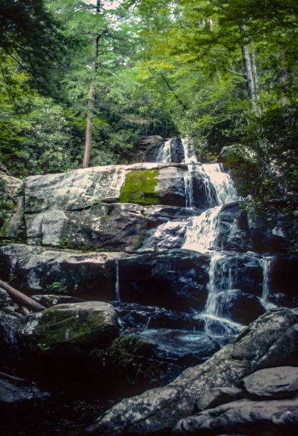 istock Great Smoky Mountains NP - Laurel Falls Vertical - 1976 1219272253