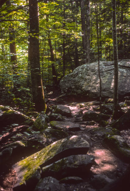 Great Smoky Mountains NP - Trail - 1976