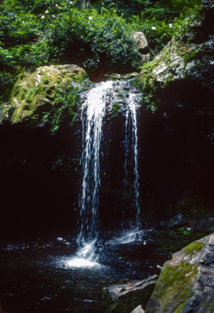 istock Great Smoky Mountains NP - Grotto Falls  Close-up - 1976 1219273109