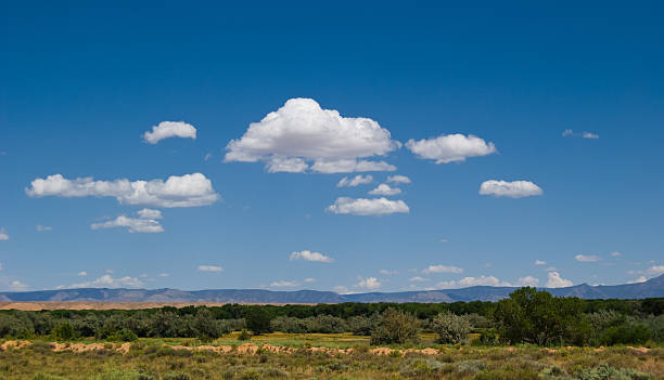 istock Southwestern Landscape with Sandia Mountains 121927370