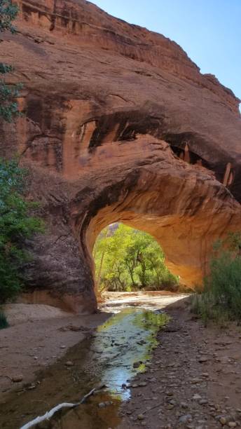 istock Desert arch and streams 1219276243
