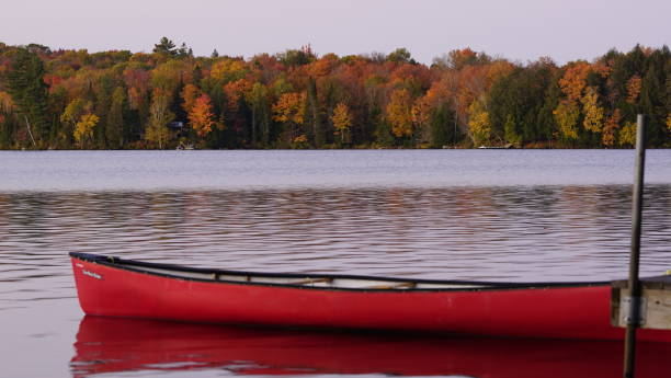 istock Bow of a cedar canoe on a lake 1219277702