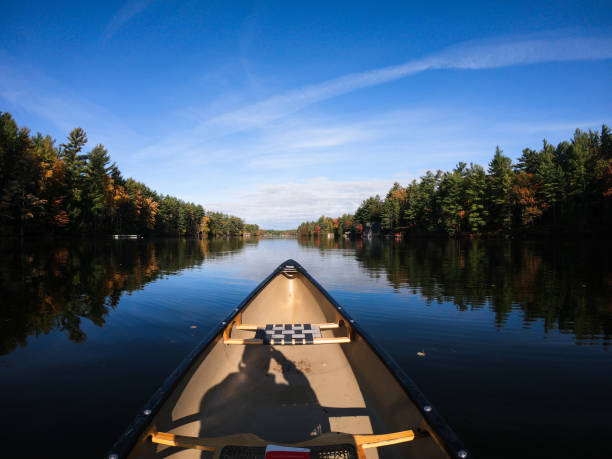 istock Bow of a cedar canoe on a lake 1219277704