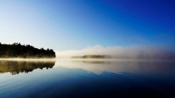 istock Sunrise above forest lake 1219277783