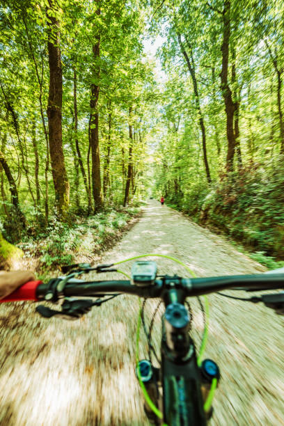 istock jogging and cycling in forest 1219277831