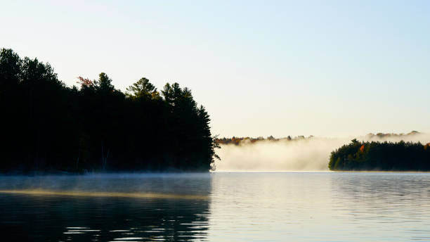 istock Sunrise above forest lake 1219277936