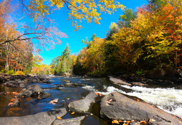 istock Streaming water in an autumn landscape 1219278562