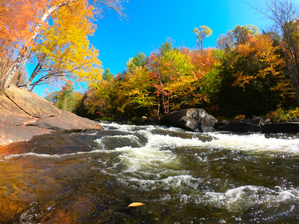 istock Streaming water in an autumn landscape 1219278565