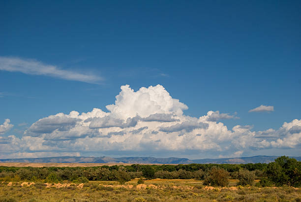 istock Southwestern Landscape with Sandia Mountains 121927955