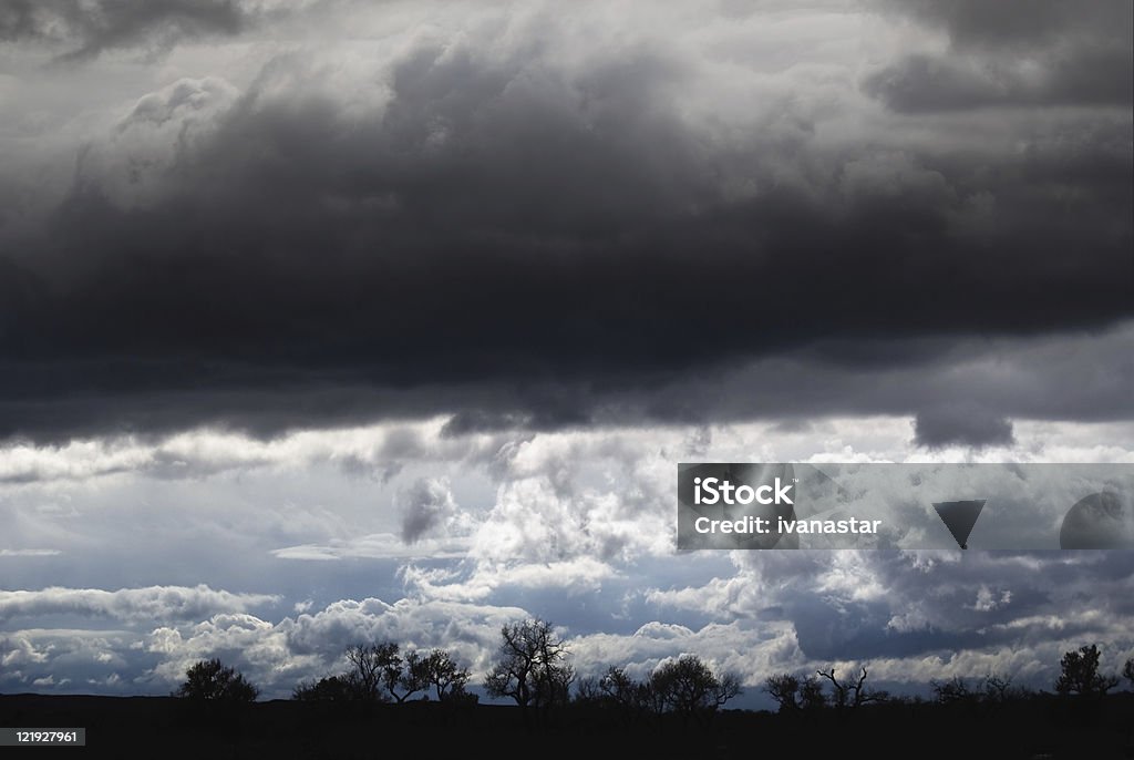 Mauvais présage des nuages sombres-dessus des arbres en hiver - Photo de Arbre libre de droits