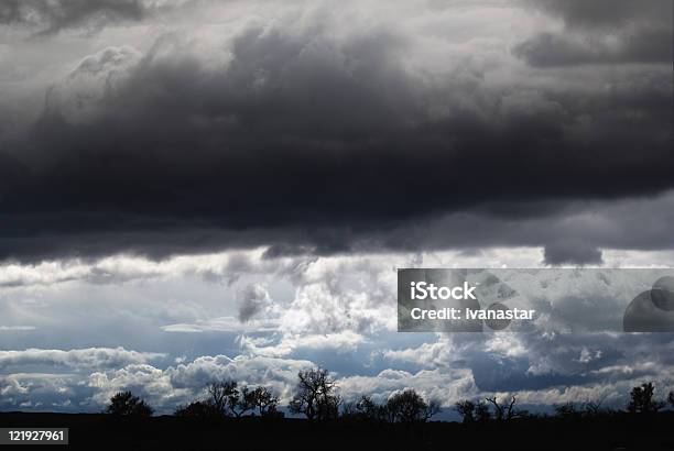 Photo libre de droit de Mauvais Présage Des Nuages Sombresdessus Des Arbres En Hiver banque d'images et plus d'images libres de droit de Arbre