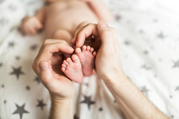 father and his baby. Dad holds in his hands the legs of his child. The concept of a happy family. male father"u2019s hands and baby"u2019s legs father and his baby. Dad holds in his hands the legs of his child. The concept of a happy family. male fathers hands and baby legs babyhood photos stock pictures, royalty-free photos & images