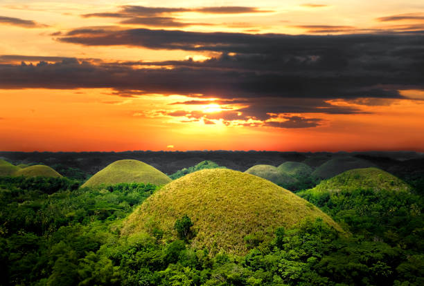 la natura della foresta è ricca di natura. collina del cioccolato bohol hill - bohol foto e immagini stock