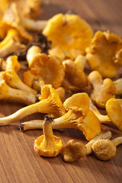 istock fresh chanterelle mushrooms 121928998
