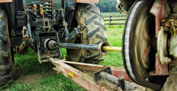 Lawn mower cutting lawn grass