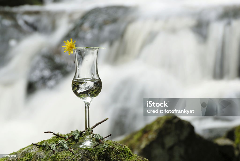 Wasserfall Glas vor - Стоковые фото Алкоголь - напиток роялти-фри
