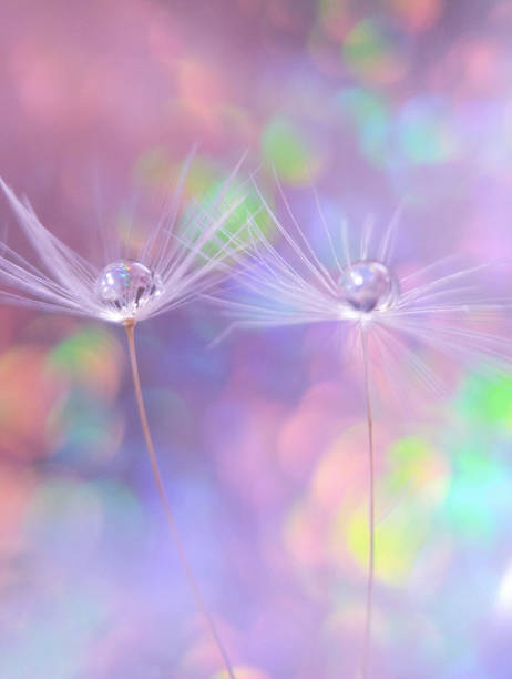 istock Water drop in pastel color 1219292989