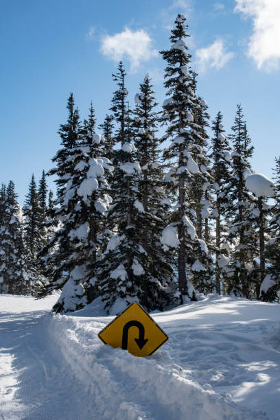 karda yol işareti, orman, u dönüş - hurricane stok fotoğraflar ve resimler