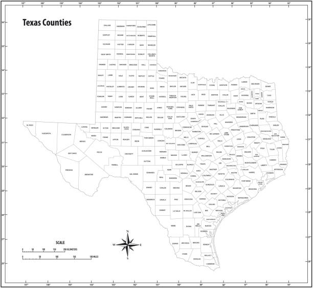 illustrazioni stock, clip art, cartoni animati e icone di tendenza di texas stato delineare mappa vettoriale amministrativo e politico in bianco e nero - county