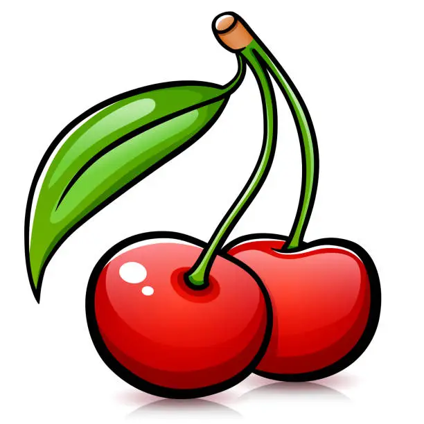 Vector illustration of Vector cherries isolated design drawing