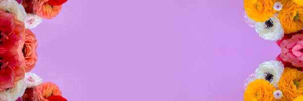 istock Banner of colored peonies on a pink background. 1219303727