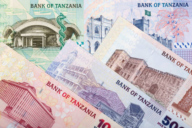istock Old Tanzanian money a business background 1219303883